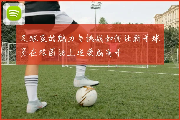 足球菜的魅力与挑战如何让新手球员在绿茵场上逆袭成高手