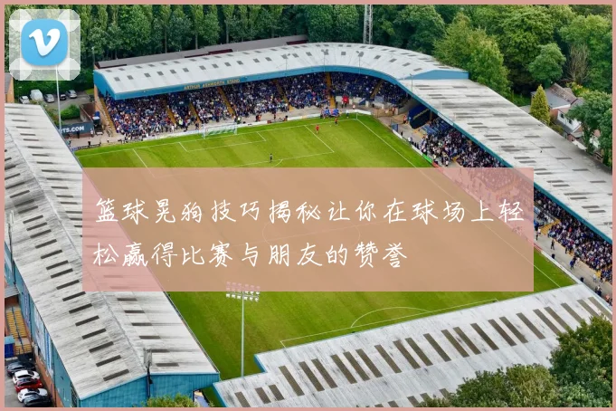 篮球晃狗技巧揭秘让你在球场上轻松赢得比赛与朋友的赞誉